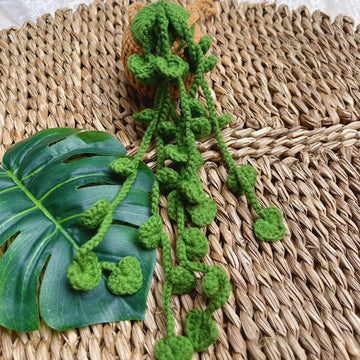 Handmade Crochet Trailing Plant, Unique Crochet Home Decor, Boho Crochet Plant Hanger, Artisan Crochet Home Decor, Crochet Plant Gift